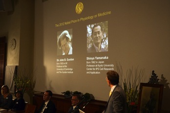 Rueda de prensa en la que se ha anunciado el nombre de los científicos galardonados con el Nobel de Economía. (Jonathan NACKSTRAND/AFP PHOTO)