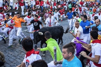 Uno de los astados de Núñez del Cuvillo enfila hacia la plaza rodeado de corredores. (Josef SAVALSSON/FOKU)