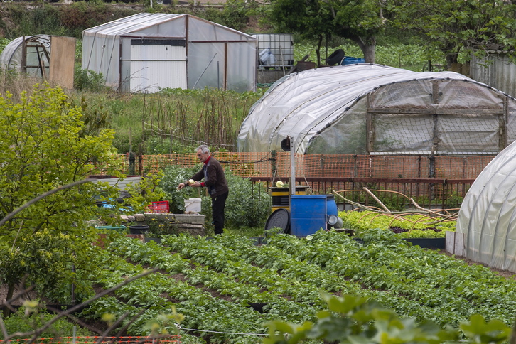 (Marisol Ramirez/FOKU)