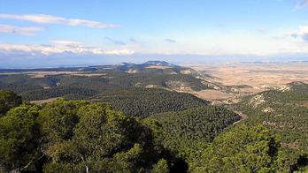 Loma negra.