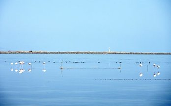 Los paisajes del Delta del Ebro son relajantes.