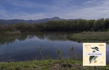 Txingudiko Badia (Andoni CANELLADA/FOKU) 