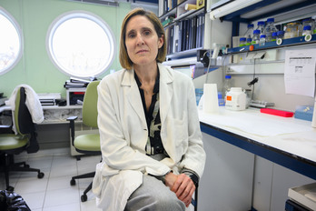 Isabel Sola, en su laboratorio del CSIC. (César Hernández)