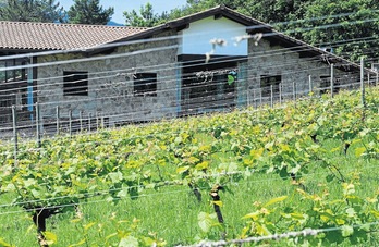 Instalaciones de la bodega Señorío de Astobiza en Okondo. (Monika DEL VALLE)