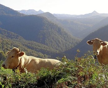 El valle guarda en sus entrañas los caminos perdidos de la trashumancia, del contrabando y del pasto veraniego.