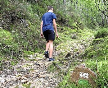 Bidea txuri eta berde koloreko markekin dago seinaleztatua. (NAIZ)