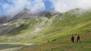 Bideak paraje zoragarriak eskaintzen ditu.