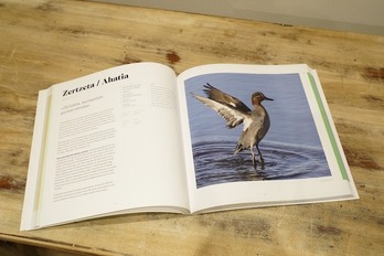 'Gure faunari eta florari begira' liburua
