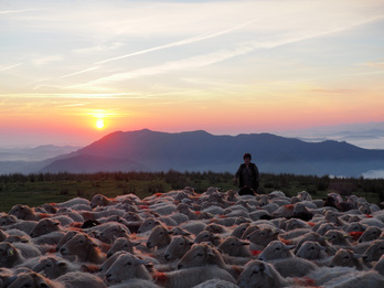 La campagne Lurrama 2022 est illustrée par une photo d’Alice Hamonic.