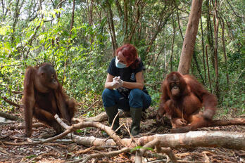 Karmele_Borneo_basoan