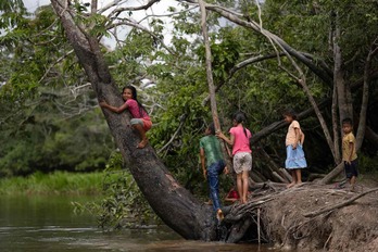 los siekopai se encuentran actualmente dispersos en aldeas a ambos lados de la frontera entre Ecuador y Perú.