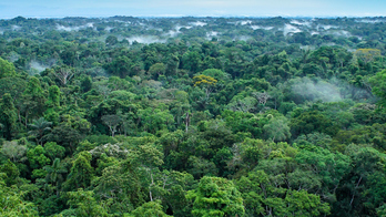 Siguen las investigaciones para hallar la ciudad perdida.