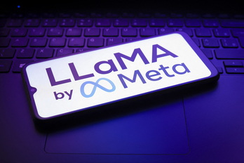 Metaren Llama eredua izan da HiTZ zentroaren ikerketaren abiapuntua. 