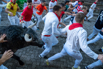 Las astas, muy cerca.