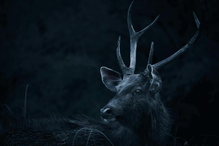 Orroaldiaz aritu gara Bigarren Kafean