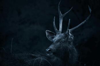 Orroaldiaz aritu gara Bigarren Kafean