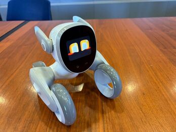 El robot es capaz de mantener conversaciones, detectar caídas o recordar a las personas usuarias la toma de medicación.