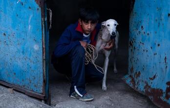 Toni, 15 urteko mutil ijitoa da kontakizunaren protagonista