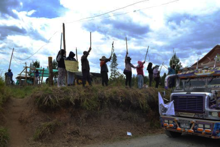 Nekazari kolonbiarrak, Smurfiten aurka