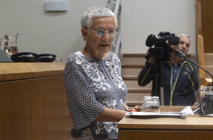 Ana Mezo, Parlamentuan, pentsioen osagarriari buruzko ILParen eztabaidan eta bozketan