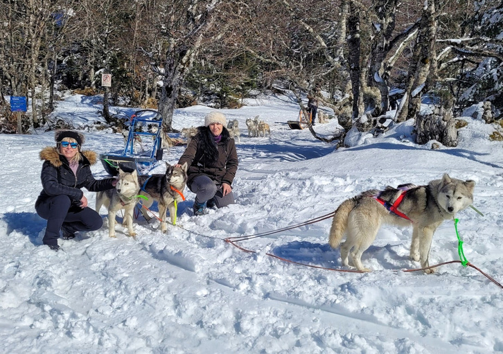 Txakurrek tiratutako leretan ibiltzeko aukera dago San Martingo Harritik bertan