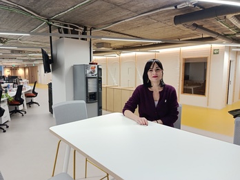 Agurne Gaubeka Behatokiko zuzendaria